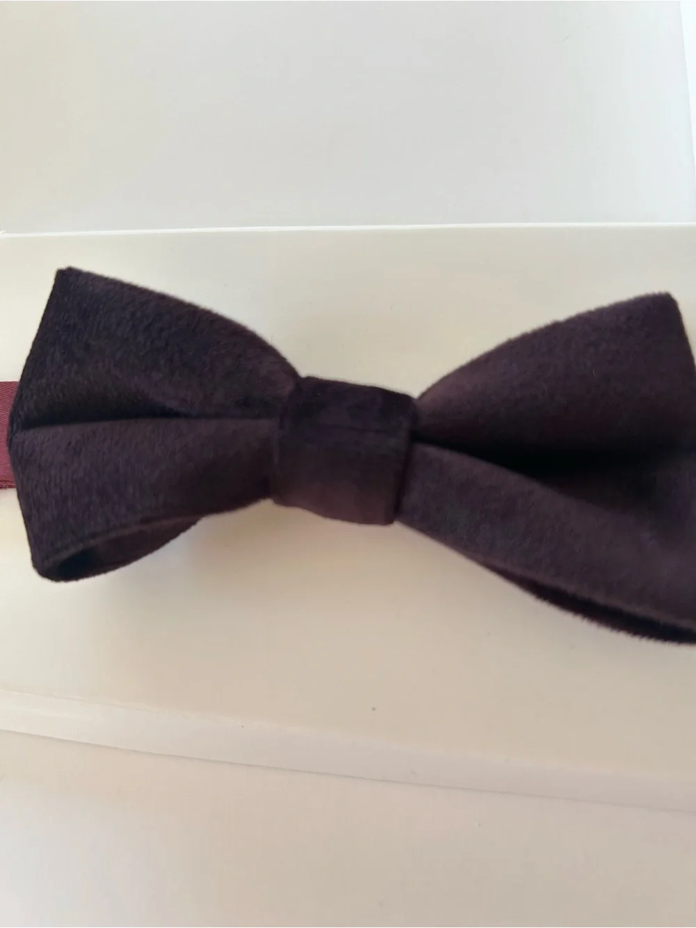 New in Box Appaman Fine Tailoring Eggplant Velvet Adjustable BowTie Kids Baby&Up